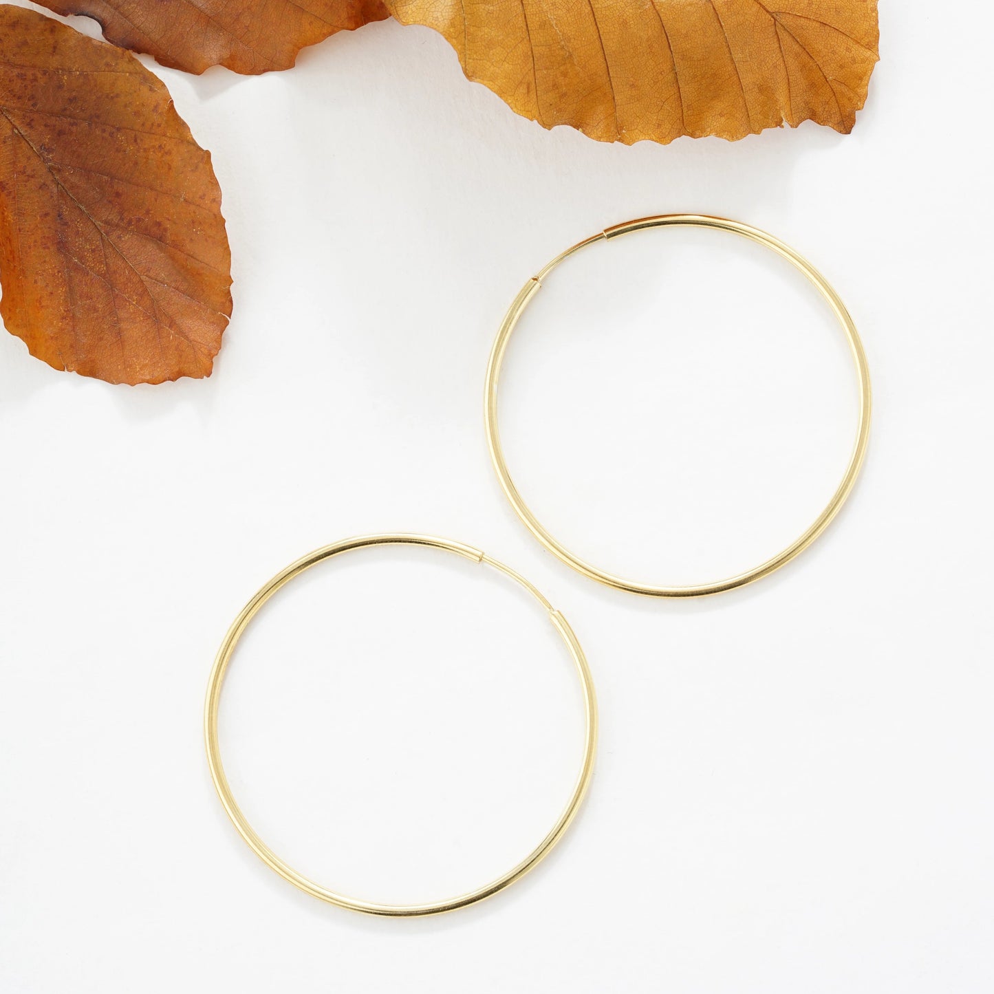 Dainty Hoop Earrings