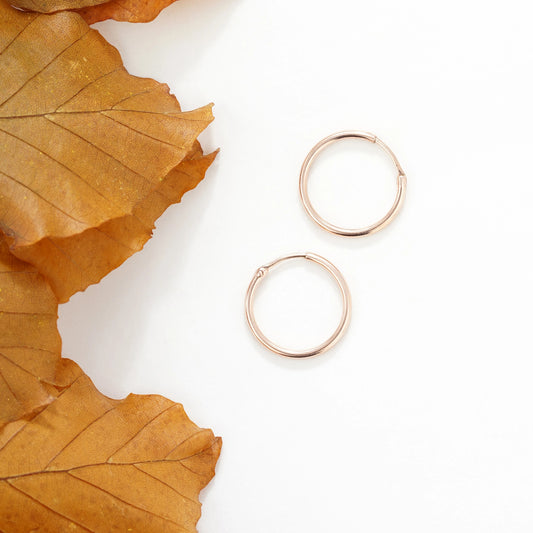 Dainty Hoop Earrings